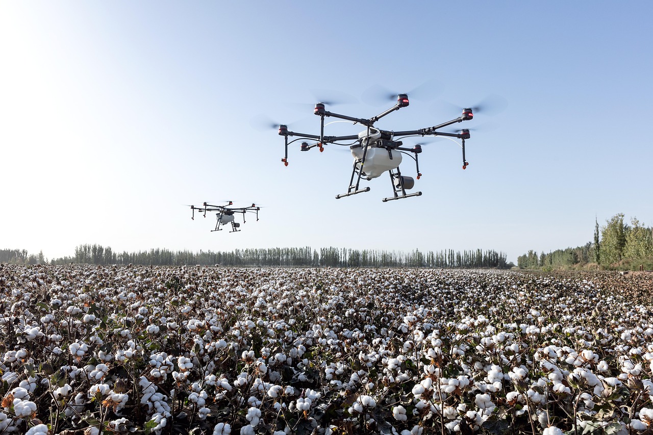 Multispektralno snimanje useva dronom iznad njive sa prikazom NDVI mape zdravlja
