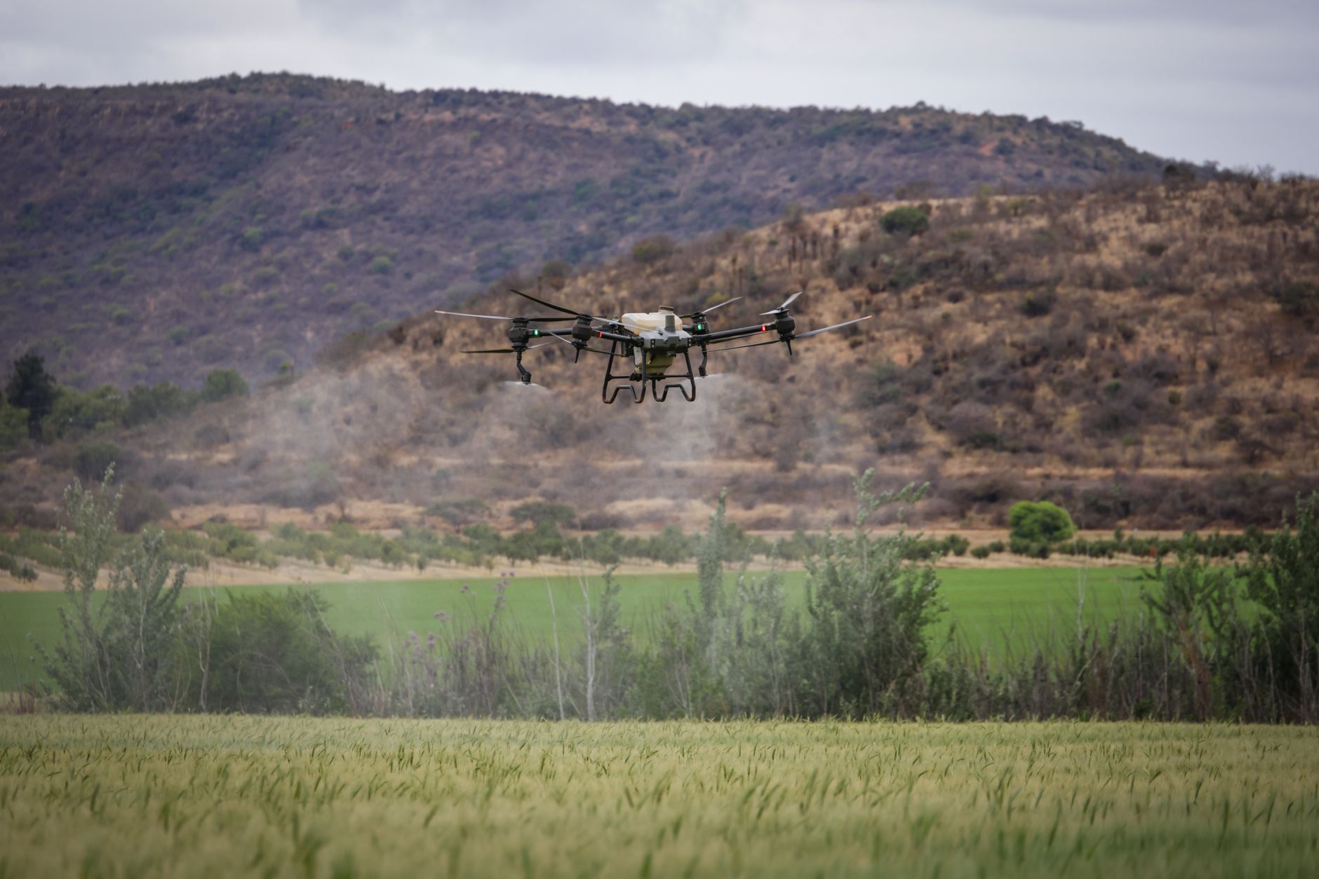 dron na imanju, pregled stoke, ograde i njiva na gazdinstvu