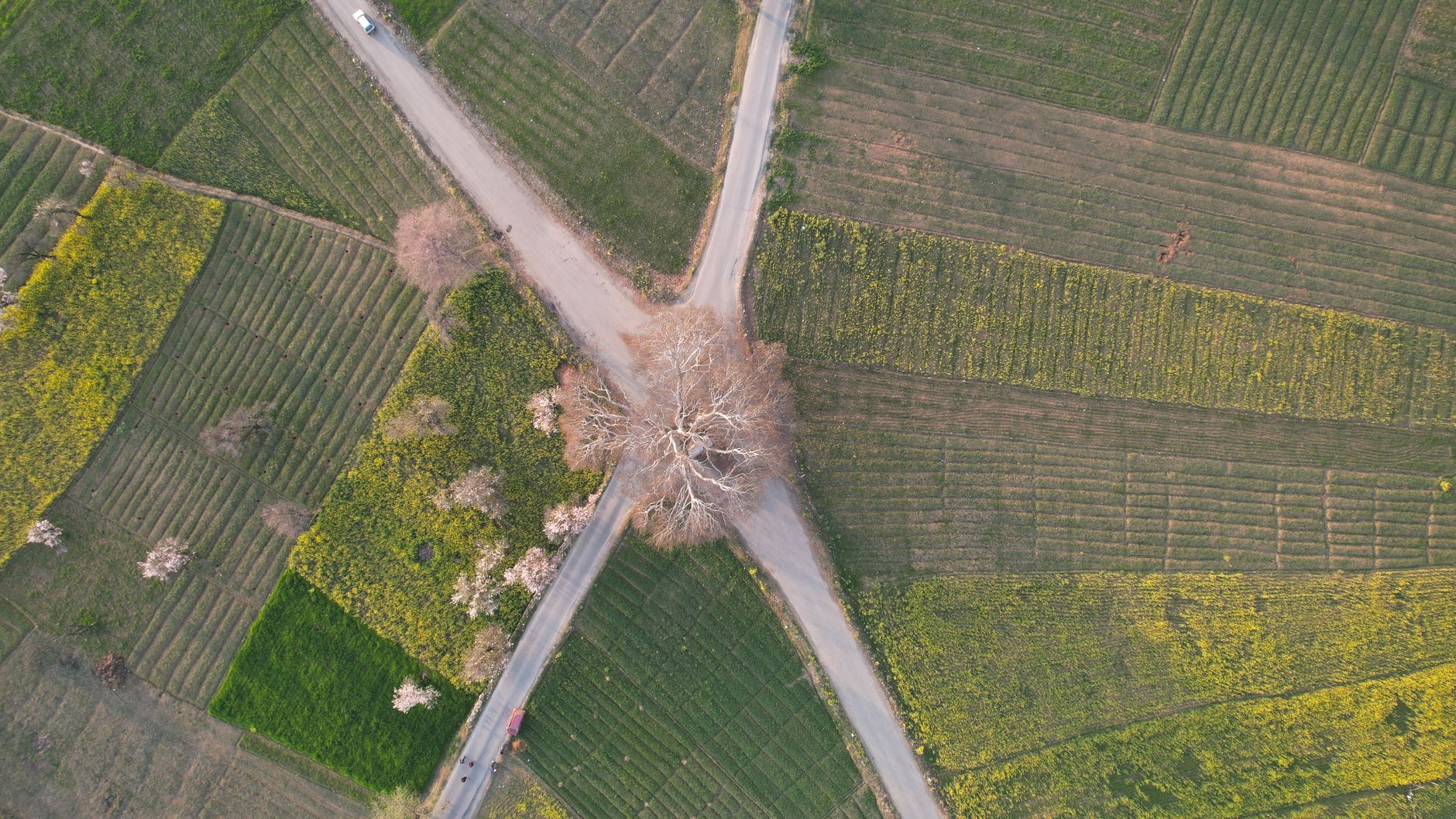 geodetski dron na zadatku mapiranja terena u Srbiji